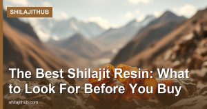 The Best Shilajit Resin: What to Look For Before You Buy