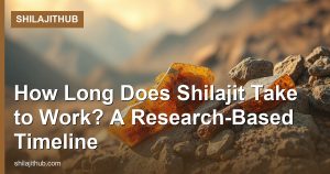 How Long Does Shilajit Take to Work? A Research-Based Timeline