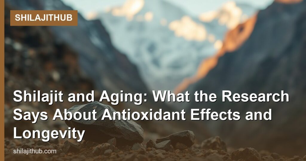 Shilajit and Aging: What the Research Says About Antioxidant Effects and Longevity - ShilajitHub