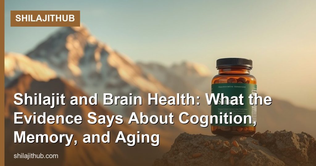 Shilajit and Brain Health: What the Evidence Says About Cognition, Memory, and Aging - ShilajitHub