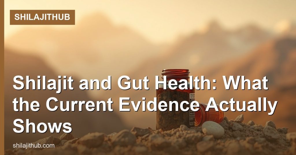 Shilajit and Gut Health: What the Current Evidence Actually Shows - ShilajitHub