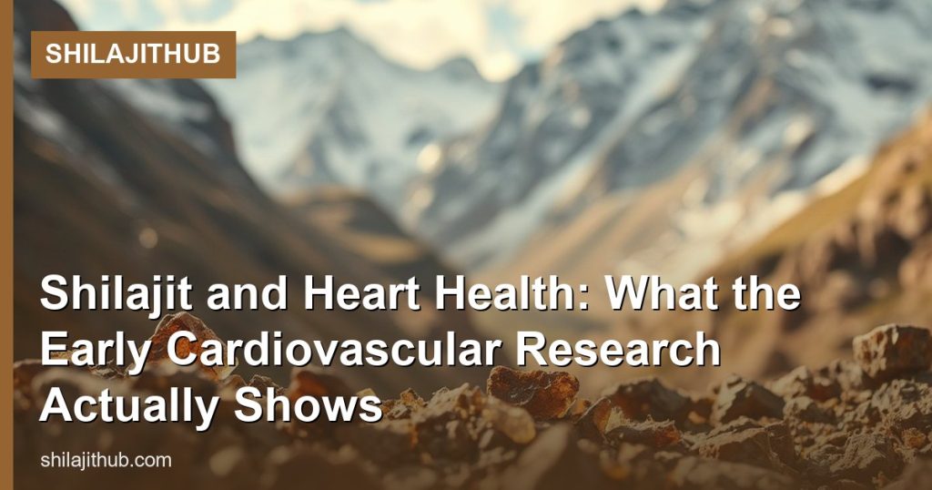 Shilajit and Heart Health: What the Early Cardiovascular Research Actually Shows - ShilajitHub