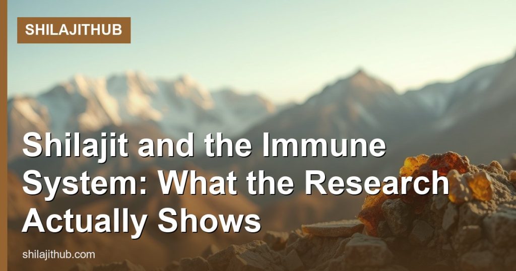 Shilajit and the Immune System: What the Research Actually Shows - ShilajitHub
