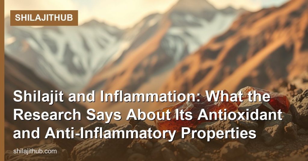 Shilajit and Inflammation: What the Research Says About Its Antioxidant and Anti-Inflammatory Properties - ShilajitHub