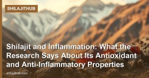 Shilajit and Inflammation: What the Research Says About Its Antioxidant and Anti-Inflammatory Properties