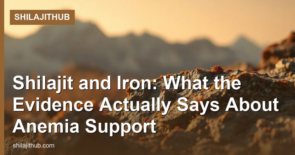 Shilajit and Iron: What the Evidence Actually Says About Anemia Support - ShilajitHub