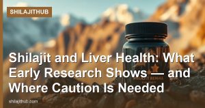Shilajit and Liver Health: What Early Research Shows — and Where Caution Is Needed