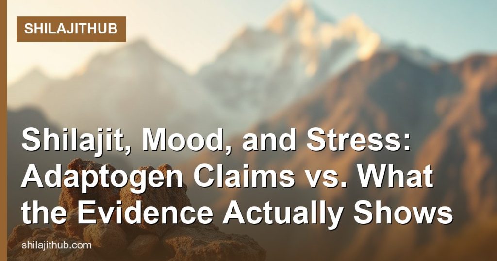 Shilajit, Mood, and Stress: Adaptogen Claims vs. What the Evidence Actually Shows - ShilajitHub