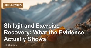Shilajit and Exercise Recovery: What the Evidence Actually Shows