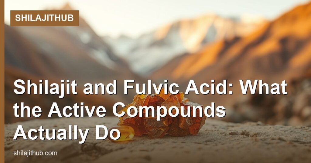 Shilajit and Fulvic Acid: What the Active Compounds Actually Do - ShilajitHub