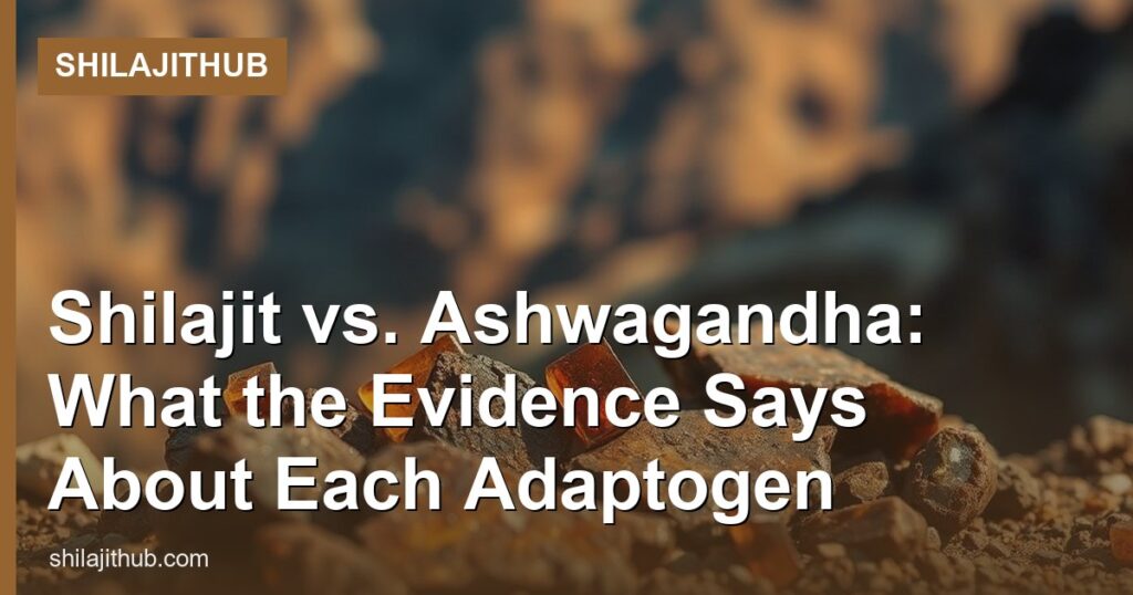Shilajit vs. Ashwagandha: What the Evidence Says About Each Adaptogen - ShilajitHub